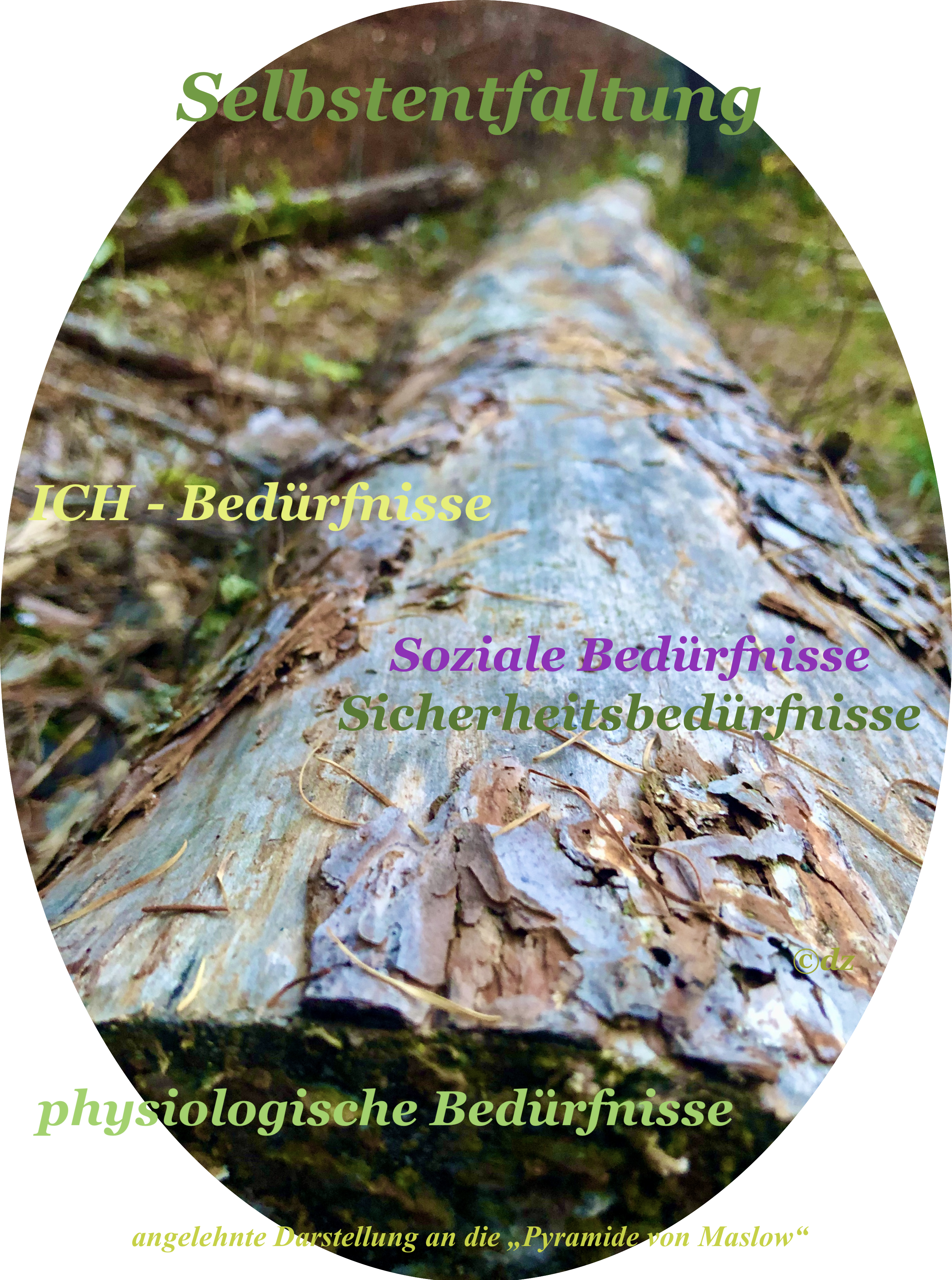 Individuellen Bedürfnisse - Teil 1 Bedürfnispyramide - Ihr Weg zu innerem Frieden und Lebensqualität 8 IMG 8917 Kopie